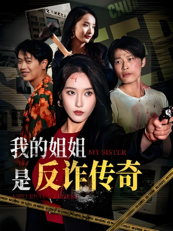 我的姐姐是反诈传奇