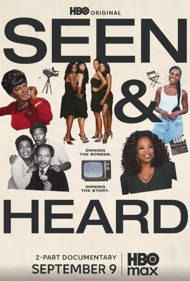 所见所闻：黑人电视史