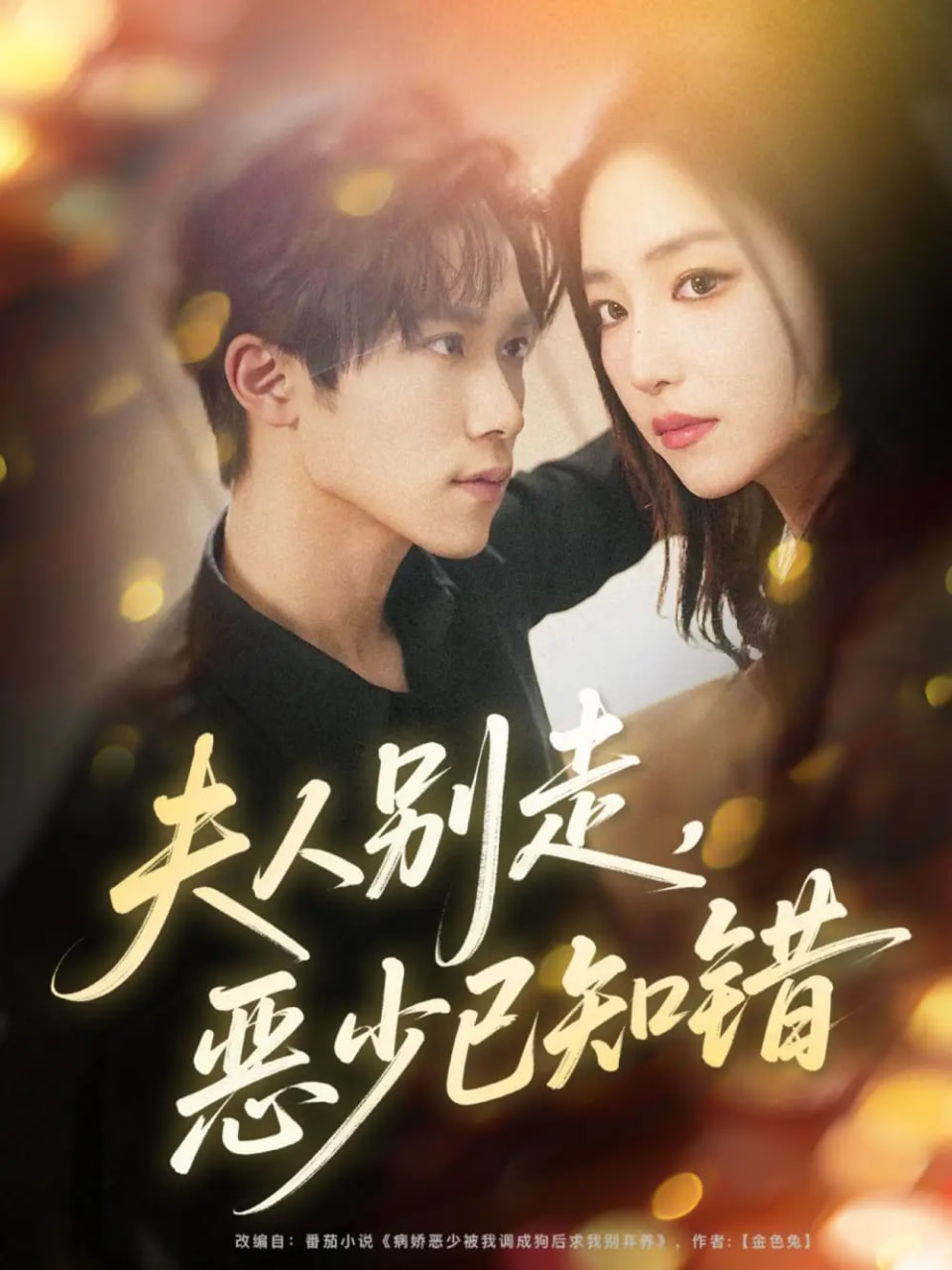 夫人别走恶少已知错